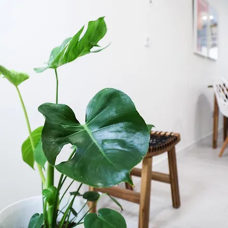 Casa Da Candida One Place, Many Things Apartament *