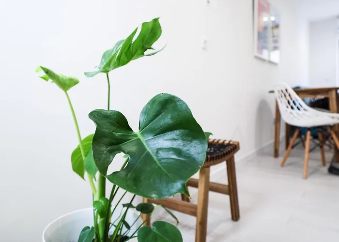 Casa Da Candida One Place, Many Things Apartament *